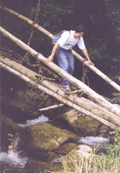 10 bamboo bridge over stream  on mountain trail