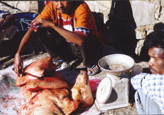 17 pigs head, scale ; market in Ainaro