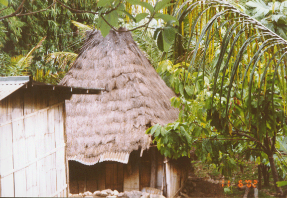 11 thatched  and corrugated metal roof, bamboo siding