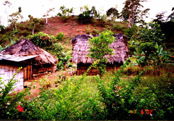 2 thatched roof along Soro road