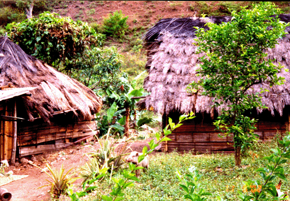 3 Thatched roofs along Soro road