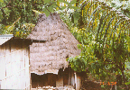 11 thatched roof, corrugated metal, bamboo siding