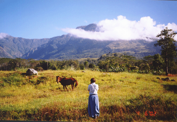 7 Mountains in Ainaro; Diane photographing horse 