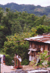 12 coffee beans, processing equipment